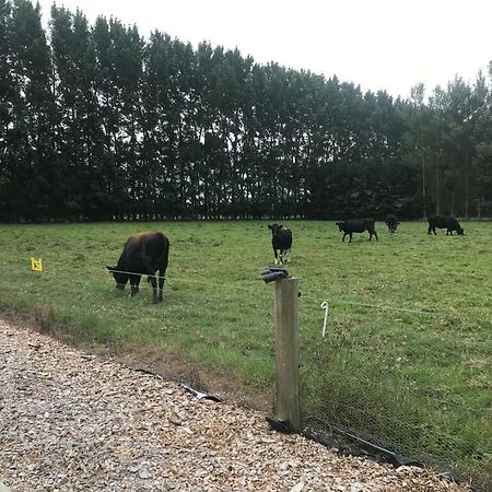 Brookside Country Escape 40 Minutes To Chc Airport Hotel Leeston Buitenkant foto