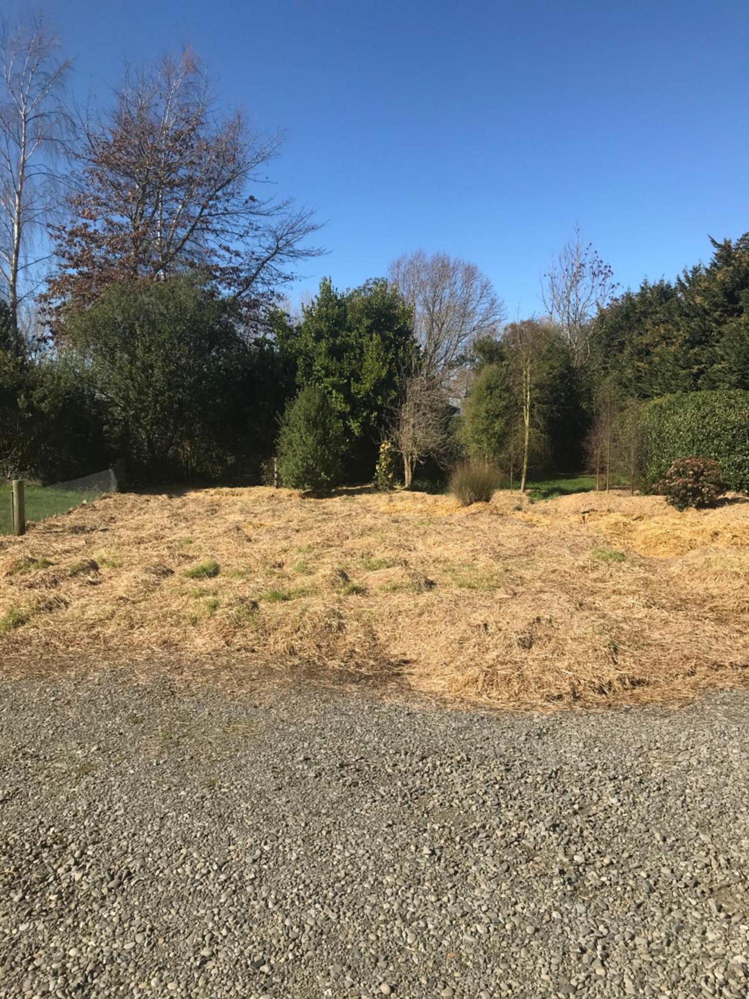 Brookside Country Escape 40 Minutes To Chc Airport Hotel Leeston Buitenkant foto