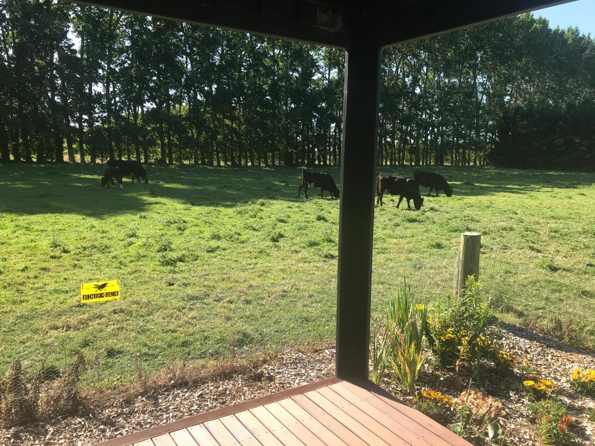 Brookside Country Escape 40 Minutes To Chc Airport Hotel Leeston Buitenkant foto