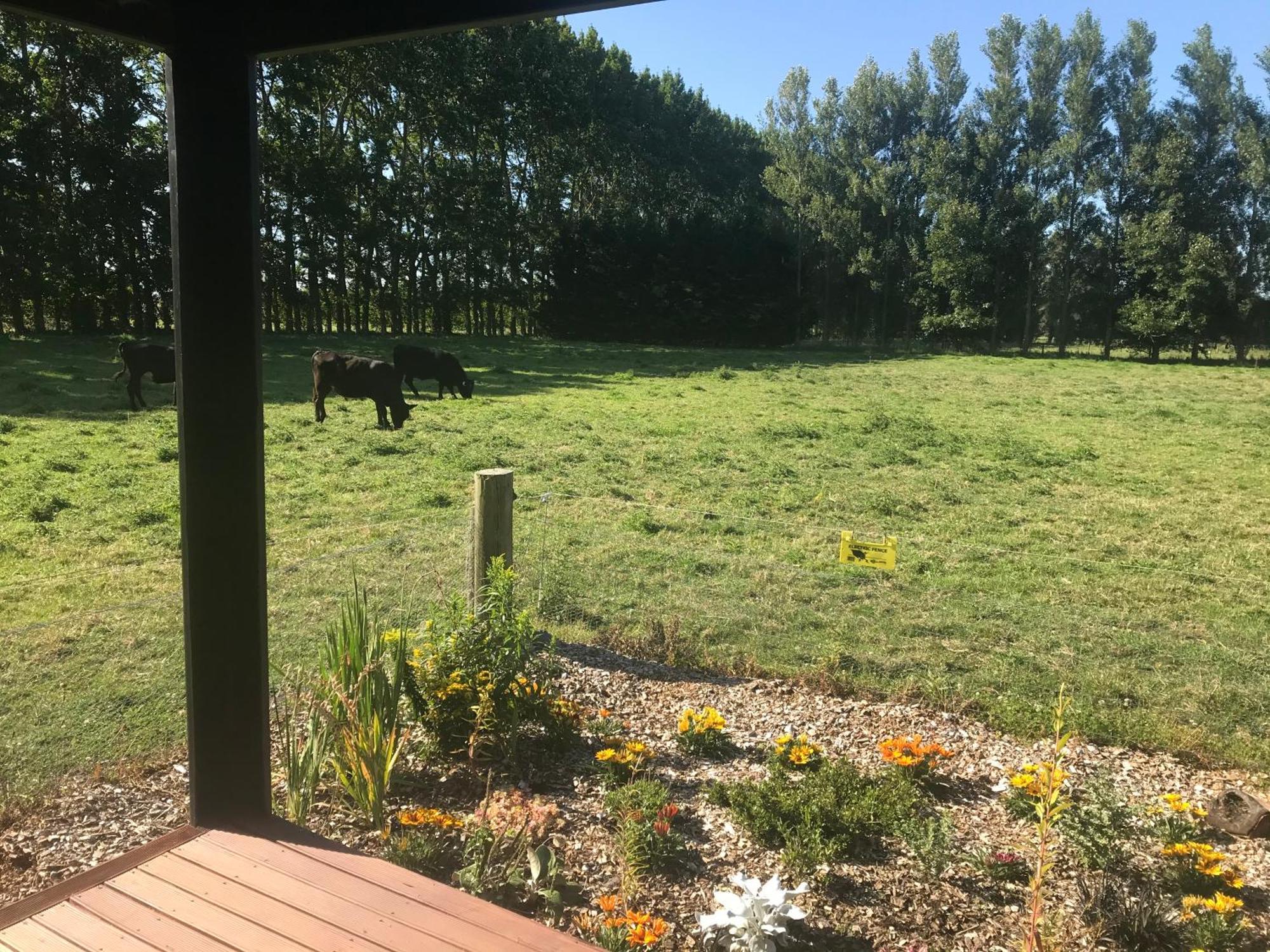 Brookside Country Escape 40 Minutes To Chc Airport Hotel Leeston Buitenkant foto
